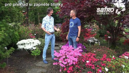 Zahradnictv SAFRO - Rododendrony - nvtva u H. Hachmanna (ENG subtitles)