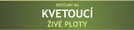 Kvetouc - iv ploty